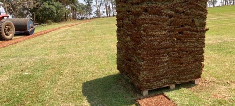 O melhor preço em grama m2