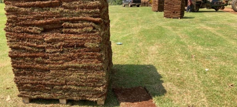 Somos especializados em Gramas Natural